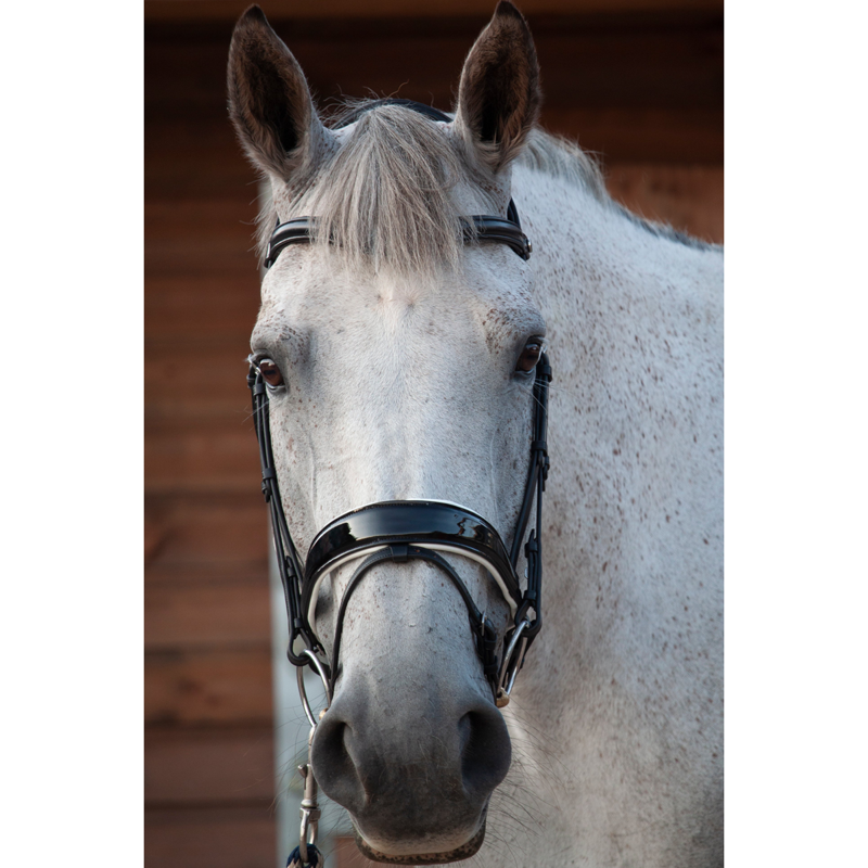 Henry James Patent Dressage Bridle With White Padding - Black-2